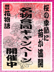 桜の季節に菊高